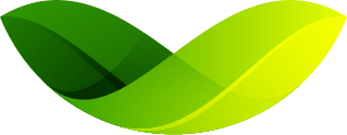 About Us | Green Leaders
